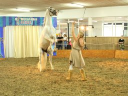 IMG_5201_web